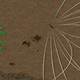 An example of one unit and all their possible paths.